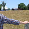 featured_alexanderfarm_zachwyatt