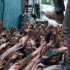 featured_walkingdead