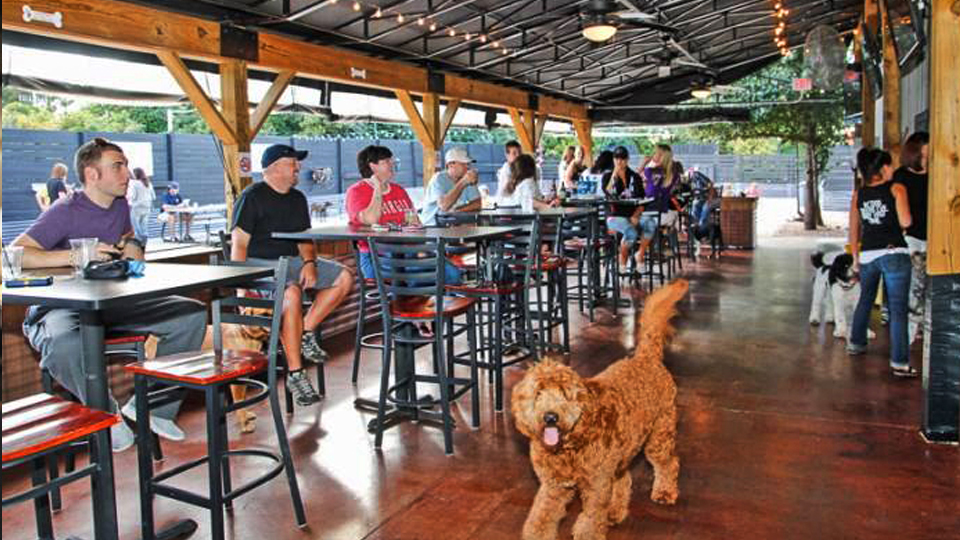 Building For Dog Pub Fetches 1 5 Million Business Today