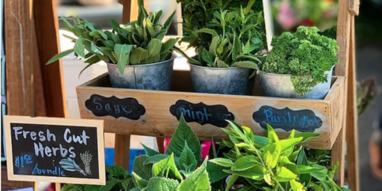 Screen Shot 2022-09-23 at 8.24.35 AM