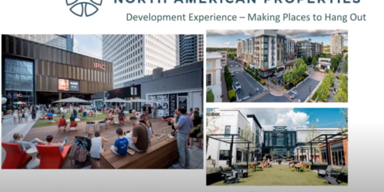 Birkdale Village: Artist rendering of expansion plans