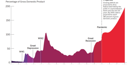 National debt long-term trends
